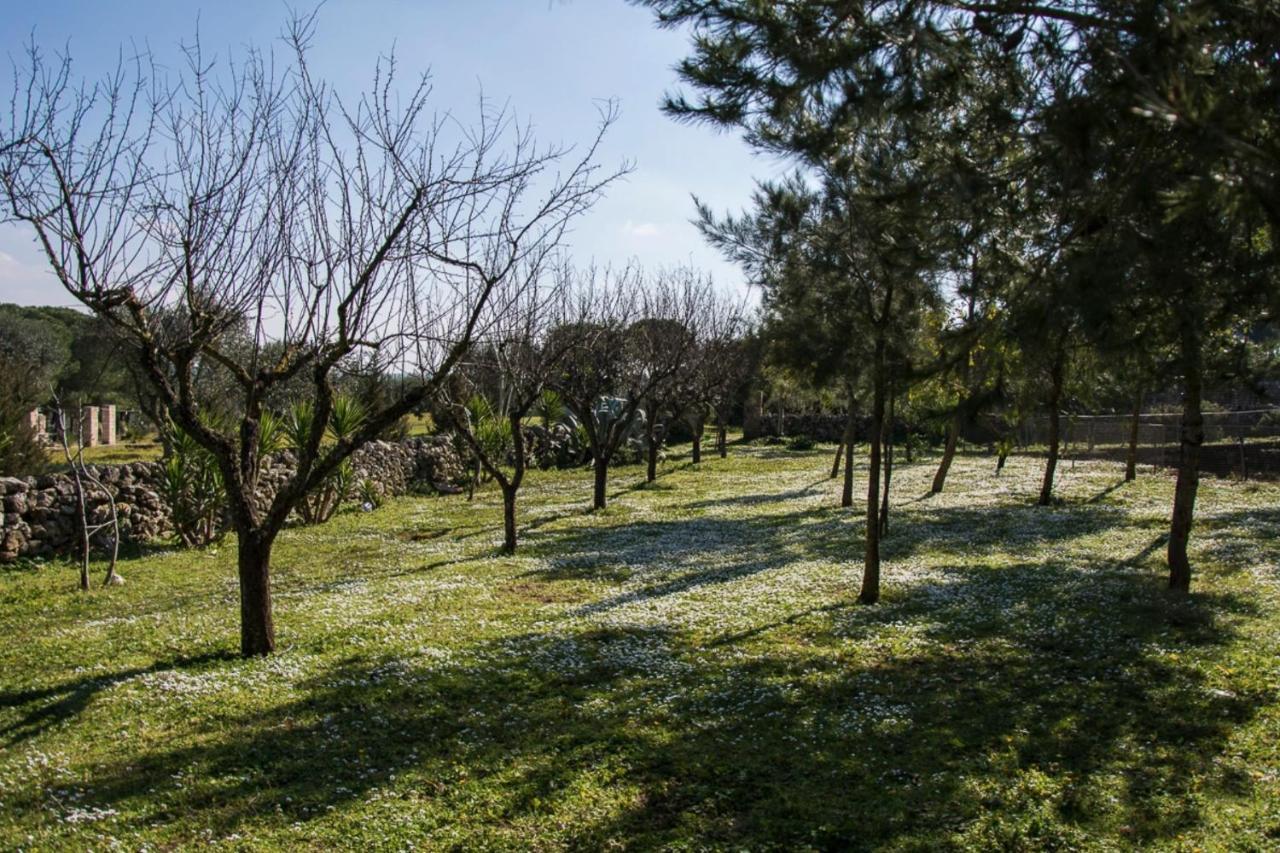 Casale Sombrino Guest House Supersano Exterior photo